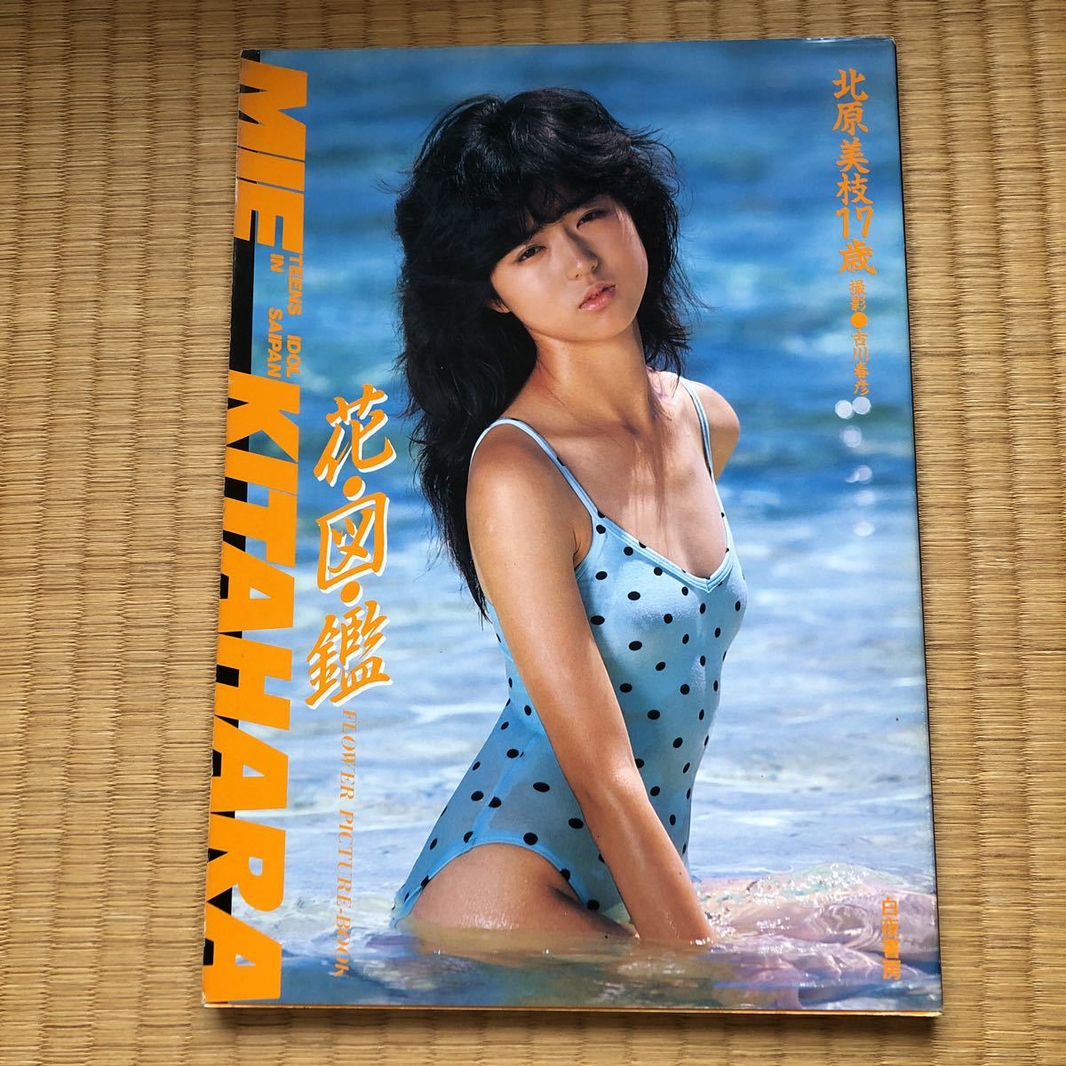 榊原郁恵,GORO,ビキニ,水着,近代映画,特集号,パート2,おまけ 榊原郁恵,GORO,ビキニ,水着,近代映画,特集号,パート2,おまけ