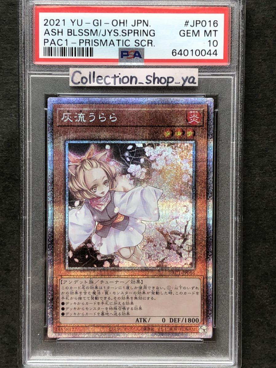 遊戯王 灰流うらら はるうらら ハルウララ プリシク プリズマ PSA10