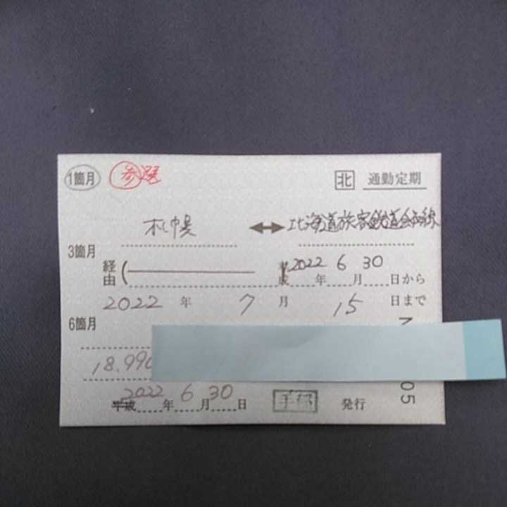 JR北海道　全線　参議院議員選挙用パス手稲駅_画像1