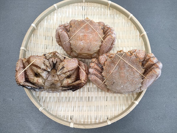 訳あり】毛蟹姿6杯セット ボイル毛ガニ姿 北海道産 - wonthagginorthps.vic.edu.au 訳あり】毛蟹姿6杯セット ボイル毛ガニ姿 北海道産 - wonthagginorthps.vic.edu.au