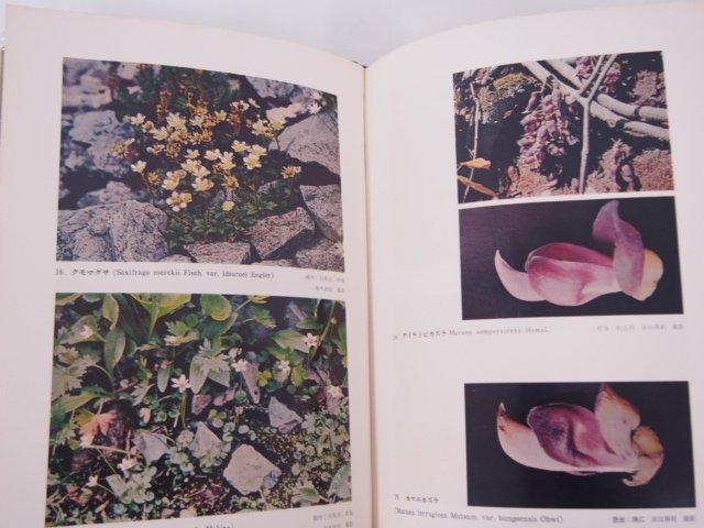 日本植物誌 顕花篇 改訂増補新版 fkip.unmul.ac.id