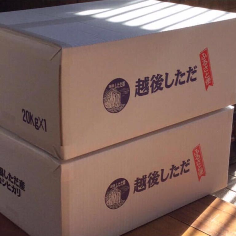新潟県 旧下田村産 令和4年度 コシヒカリ 玄米(20kg)農家直送便 自家栽培