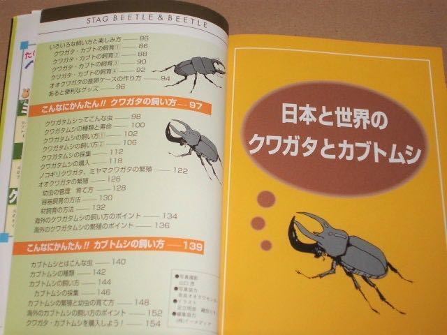  stag beetle * rhinoceros beetle ( Japan . world. stag beetle * rhinoceros beetle. .. person . breeding concerning )