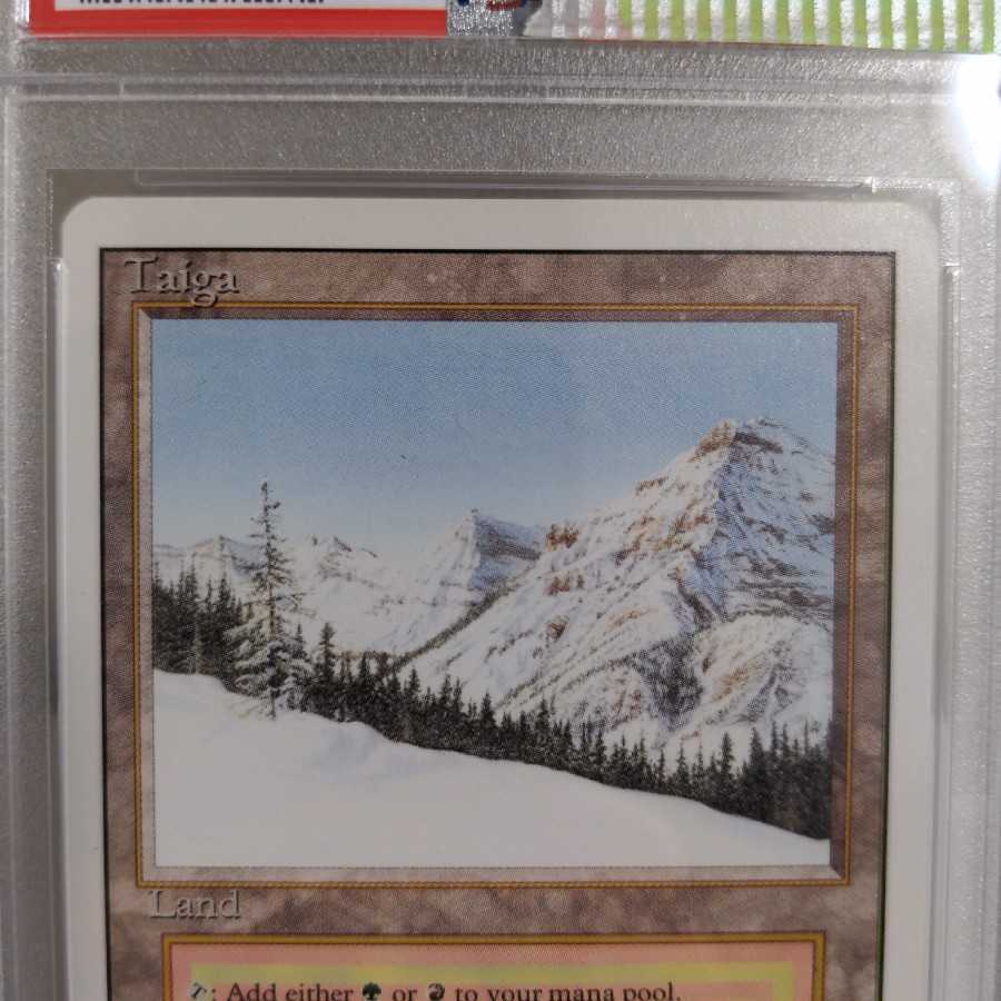 MTG Taiga PSA8 revised 鑑定品 | sweatreno.com