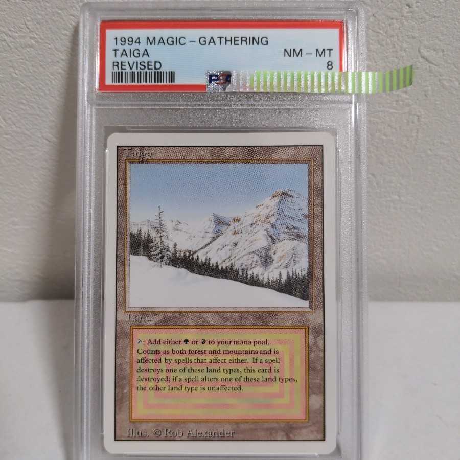 MTG Taiga PSA8 revised 鑑定品 | sweatreno.com