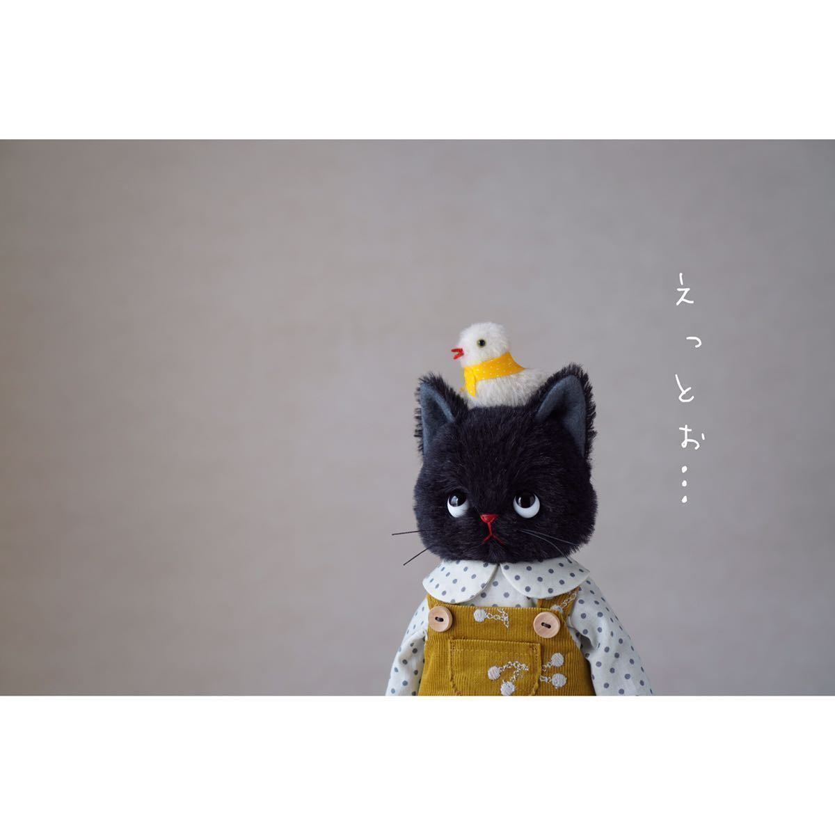 黒猫ちゃんきせかえセット paricodoll パリco 猫ぬいぐるみ의 黒猫ちゃんきせかえセット paricodoll パリco 猫ぬいぐるみ의