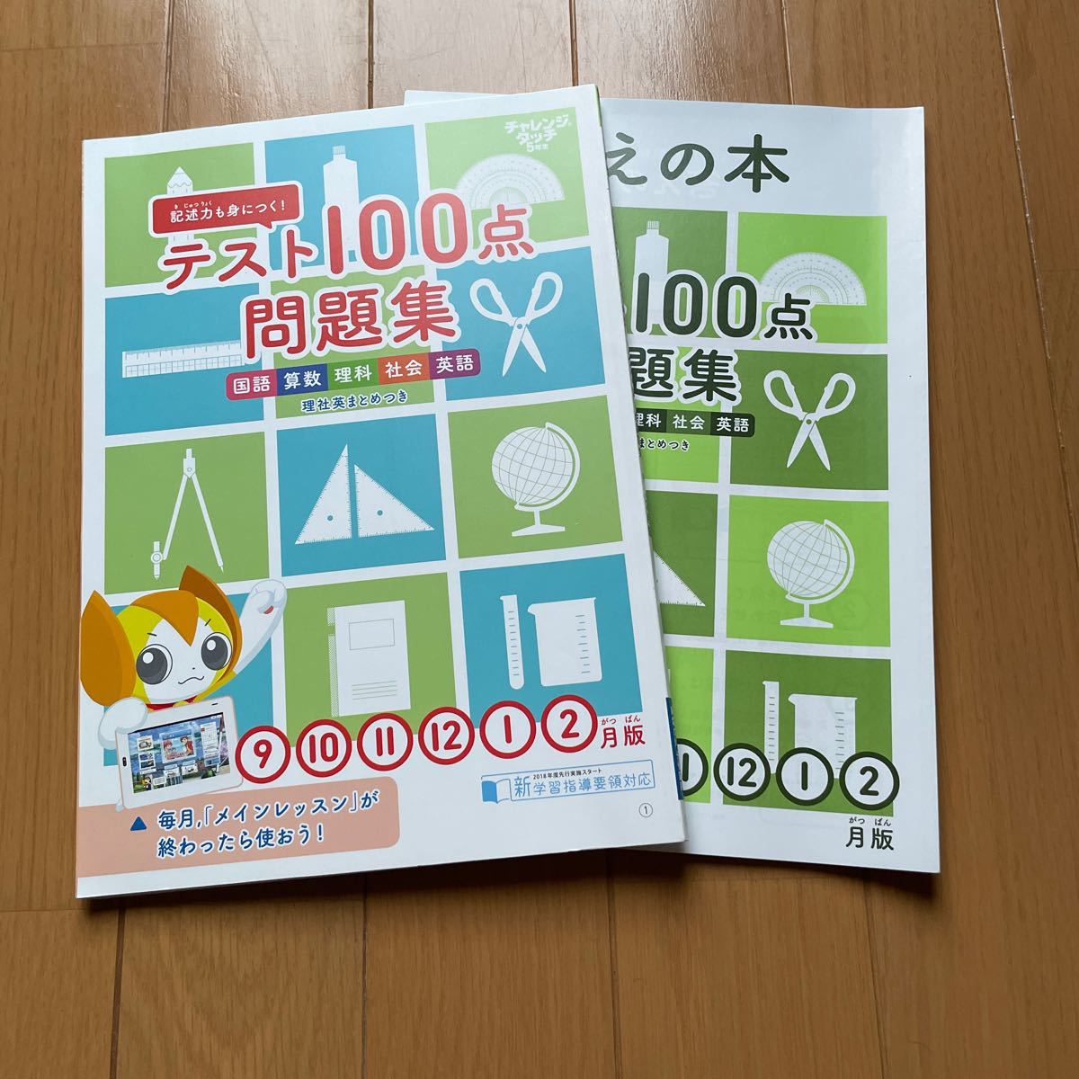 ☆ベネッセ☆進研ゼミ小学講座　５年生　２学期・学年末まとめテスト　テスト100点問題集　ほぼ新品