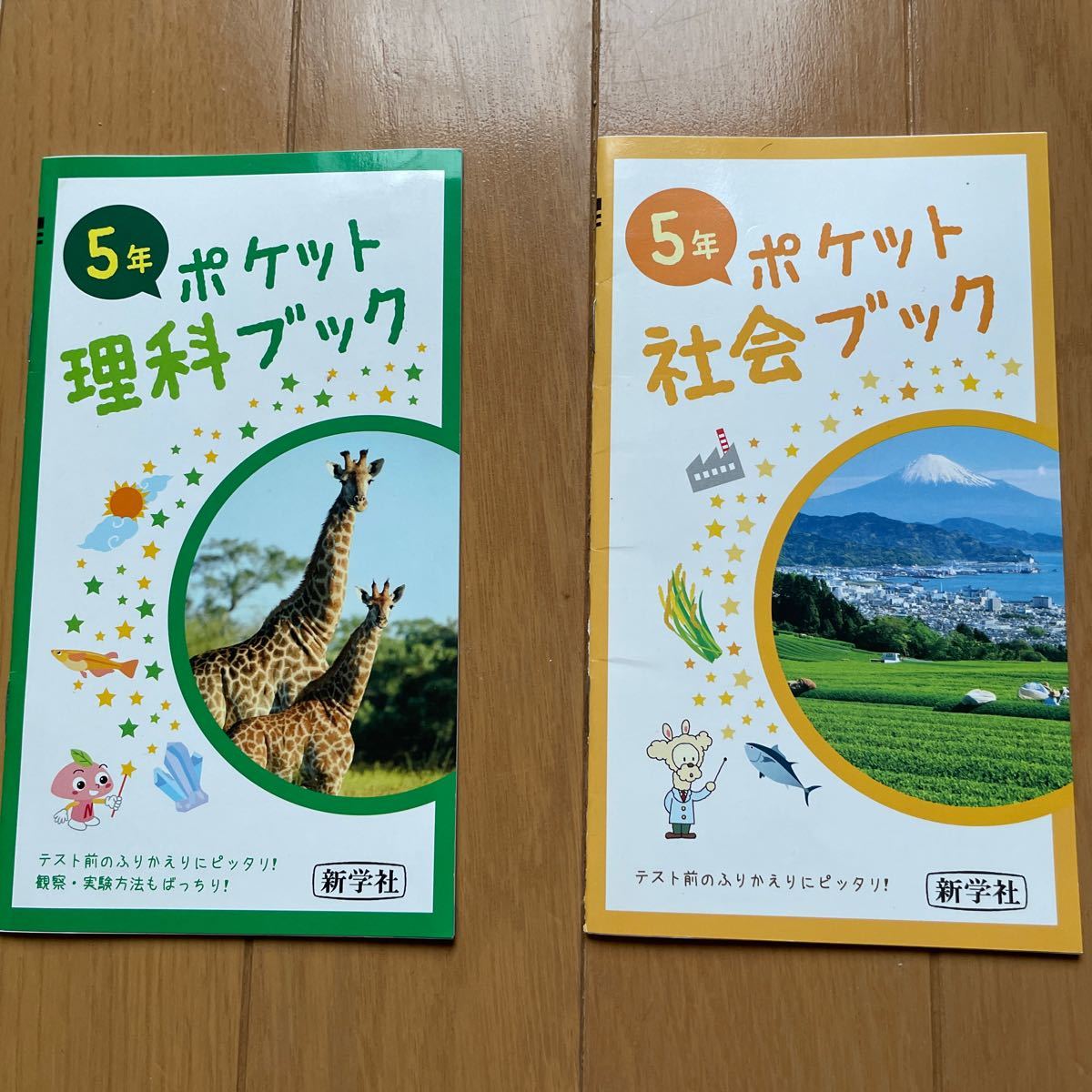 ☆ベネッセ☆進研ゼミ小学講座　５年生　２学期・学年末まとめテスト　テスト100点問題集　ほぼ新品