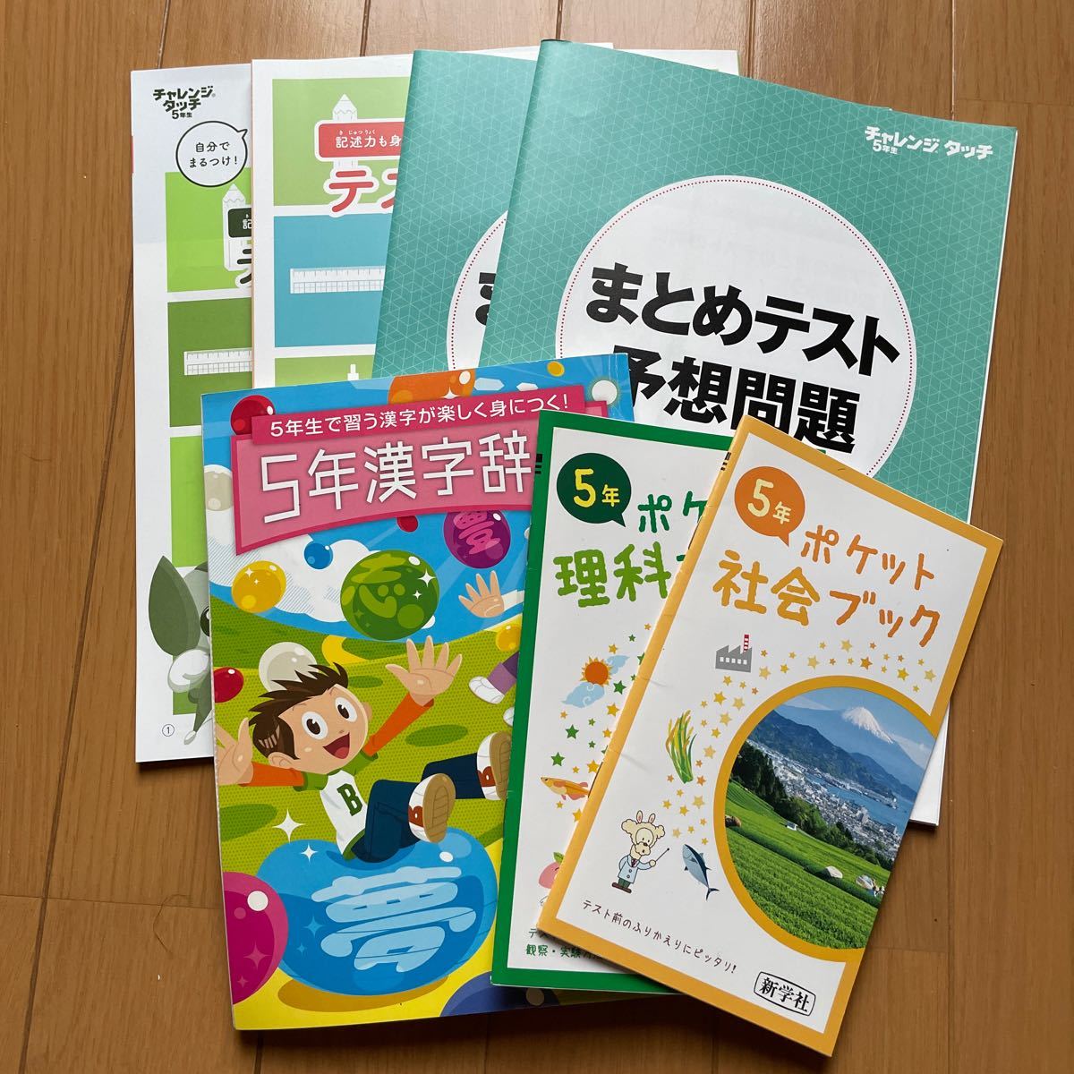 ☆ベネッセ☆進研ゼミ小学講座　５年生　２学期・学年末まとめテスト　テスト100点問題集　ほぼ新品