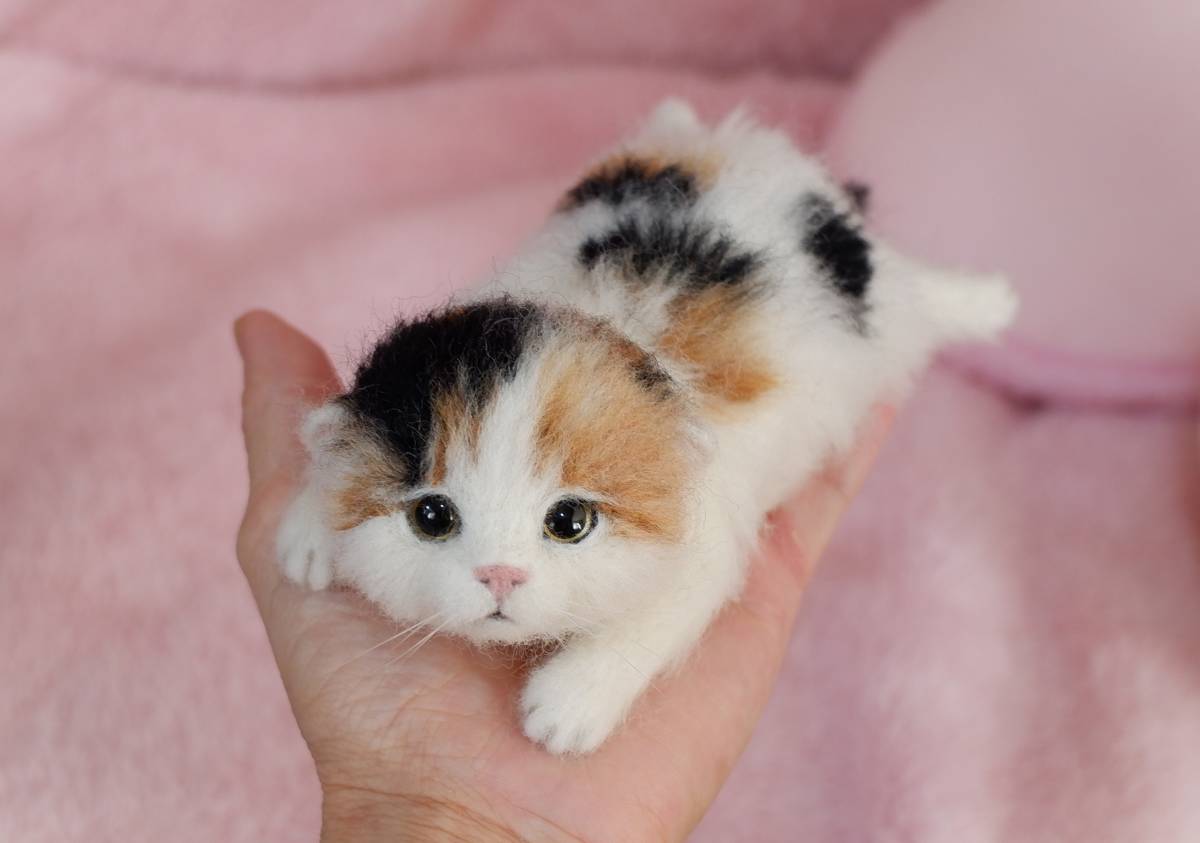 funwari□□□ 羊毛フェルト 三毛 ふわふわ 赤ちゃん猫 寝そべり funwari□□□ 羊毛フェルト 三毛 ふわふわ 赤ちゃん猫 寝そべり