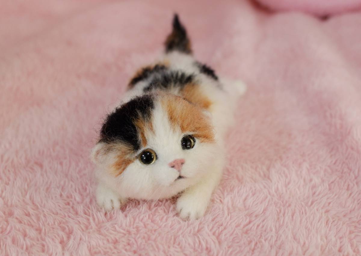 funwari□□□ 羊毛フェルト 三毛 ふわふわ 赤ちゃん猫 寝そべり funwari□□□ 羊毛フェルト 三毛 ふわふわ 赤ちゃん猫 寝そべり