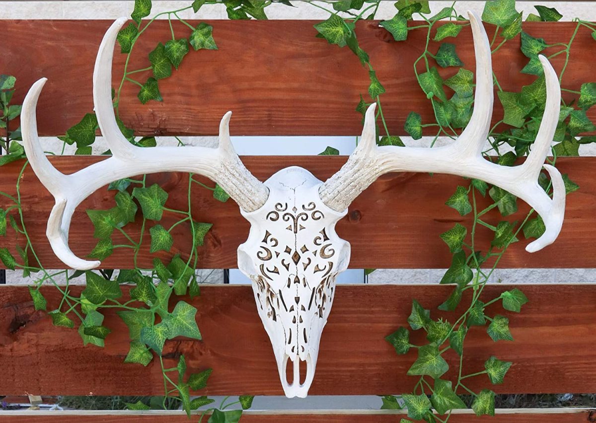 牡鹿 頭骨 彫像 バック・ディア・ヘッドスカル ウォールデコレーション 3Dアート・ハンギング壁彫刻（輸入品）