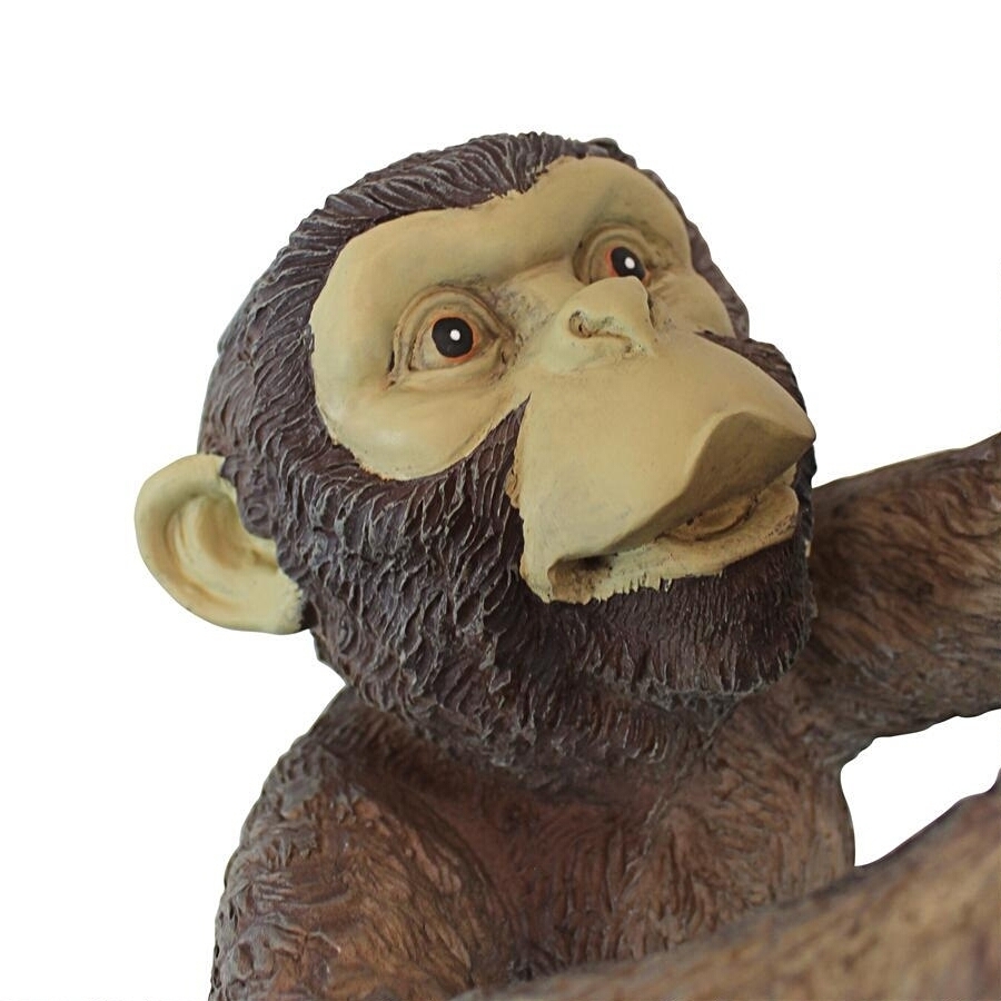 「マココウ」ロープを登って行く猿の彫像 彫刻/ モンキーセンター エコカフェ アフリカ サファリ レストラン 店舗装飾（輸入品）_画像7