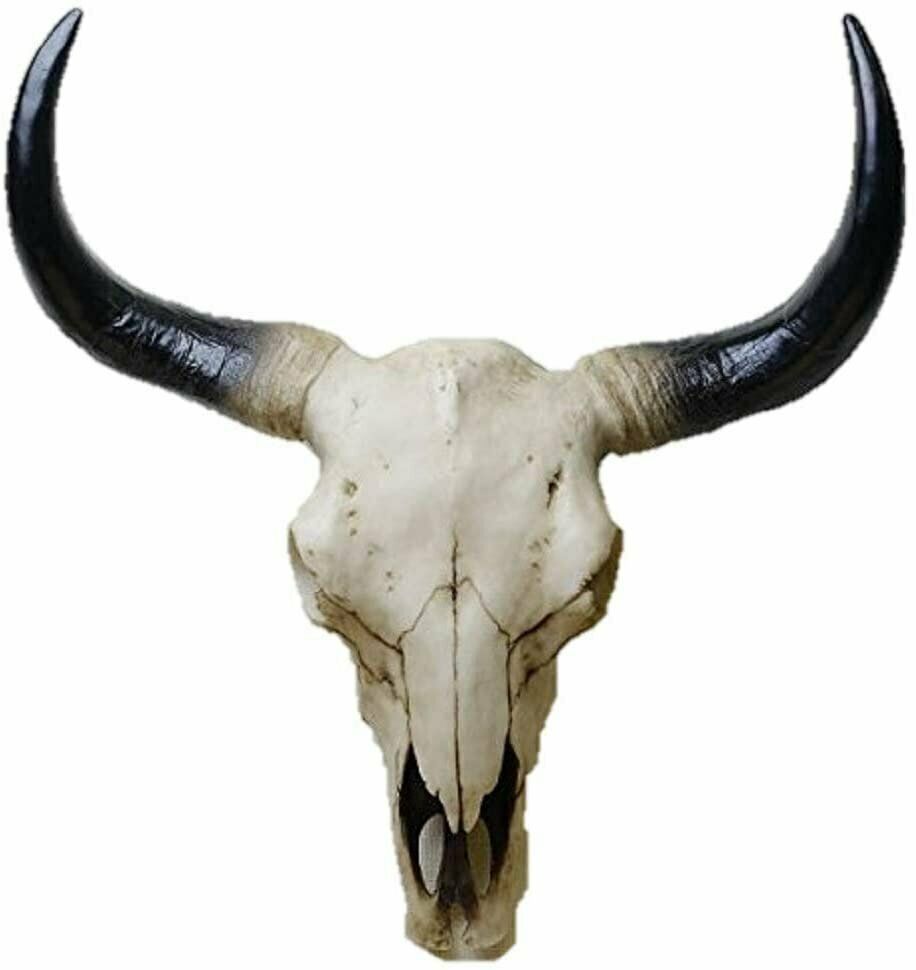 メイリッチ製 西部の牛の頭蓋骨の壁掛け彫像 カウスカル彫刻 カウボーイ輸入品）