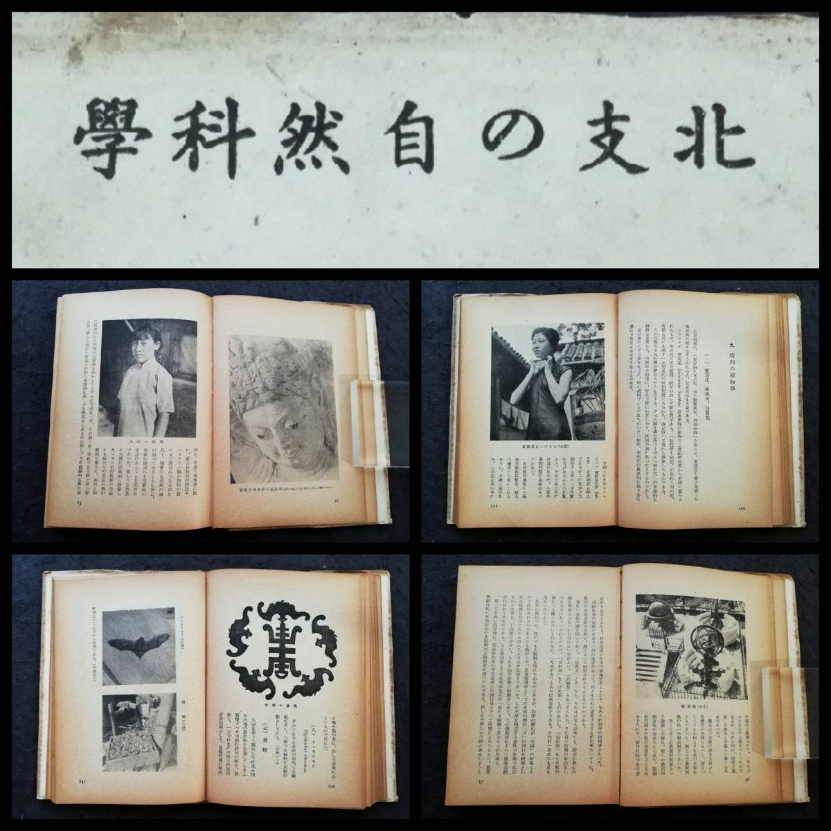 特選クッキングブックス〈12〉やさしいお菓子の手本 (shin - その他 特選クッキングブックス〈12〉やさしいお菓子の手本 (shin - その他
