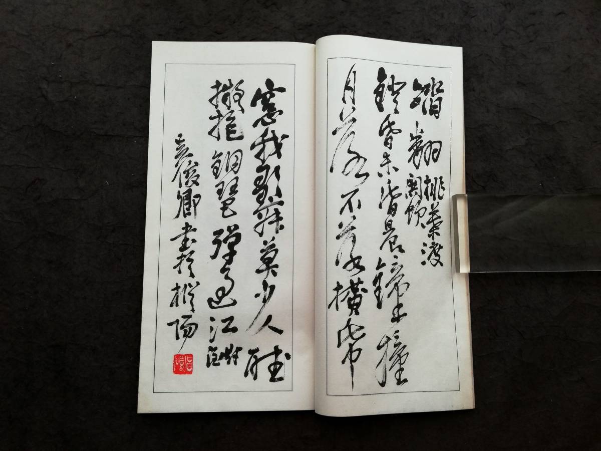 呉昌碩 行書 検索:玻璃版 原寸大 珂羅版 墓誌銘 支那 印譜 法書帖 金石篆刻 王鐸 羅振玉 拓本 張瑞図 董其昌 黄庭堅 趙子昴 王義之 米元章_画像5