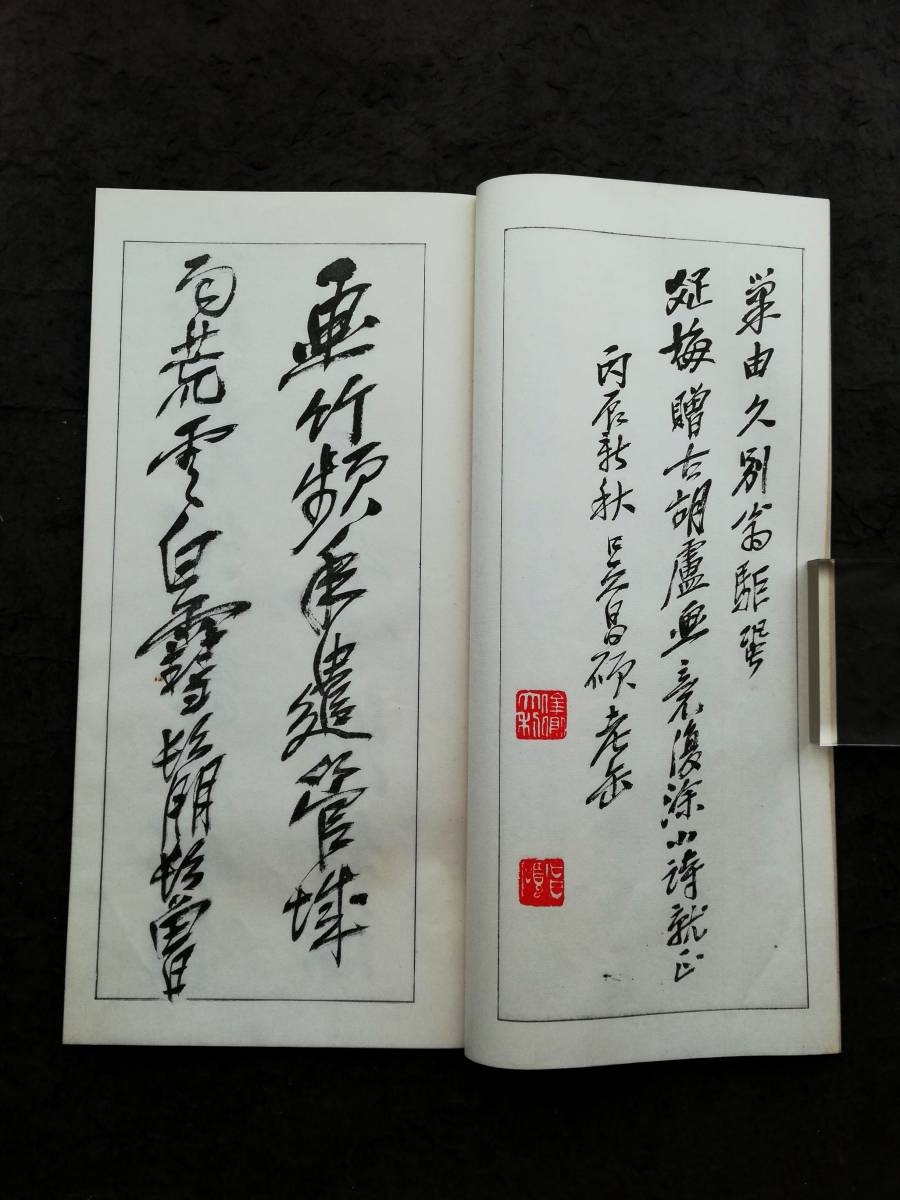 呉昌碩 行書 検索:玻璃版 原寸大 珂羅版 墓誌銘 支那 印譜 法書帖 金石篆刻 王鐸 羅振玉 拓本 張瑞図 董其昌 黄庭堅 趙子昴 王義之 米元章_画像3