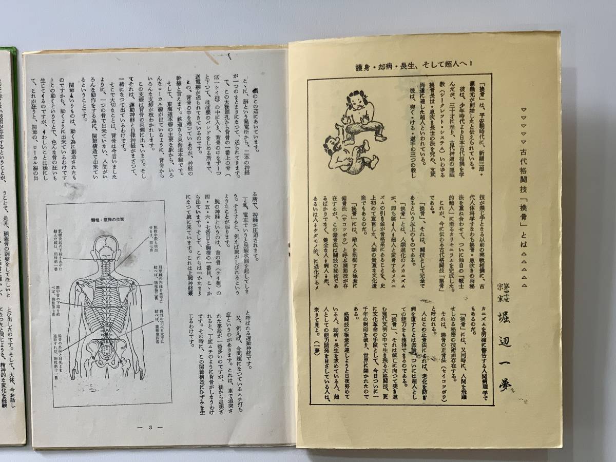 希少】堀辺 正史 換骨拳 骨法 セット 拳法 武術 合気道 秘術