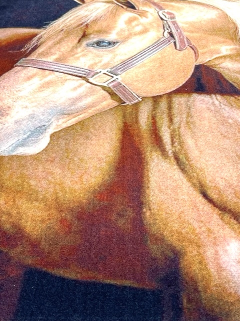 アートペルシャ絨毯・プリントマシンノット・イラン・絨毯・タペストリー60cm×90cm p16_画像4