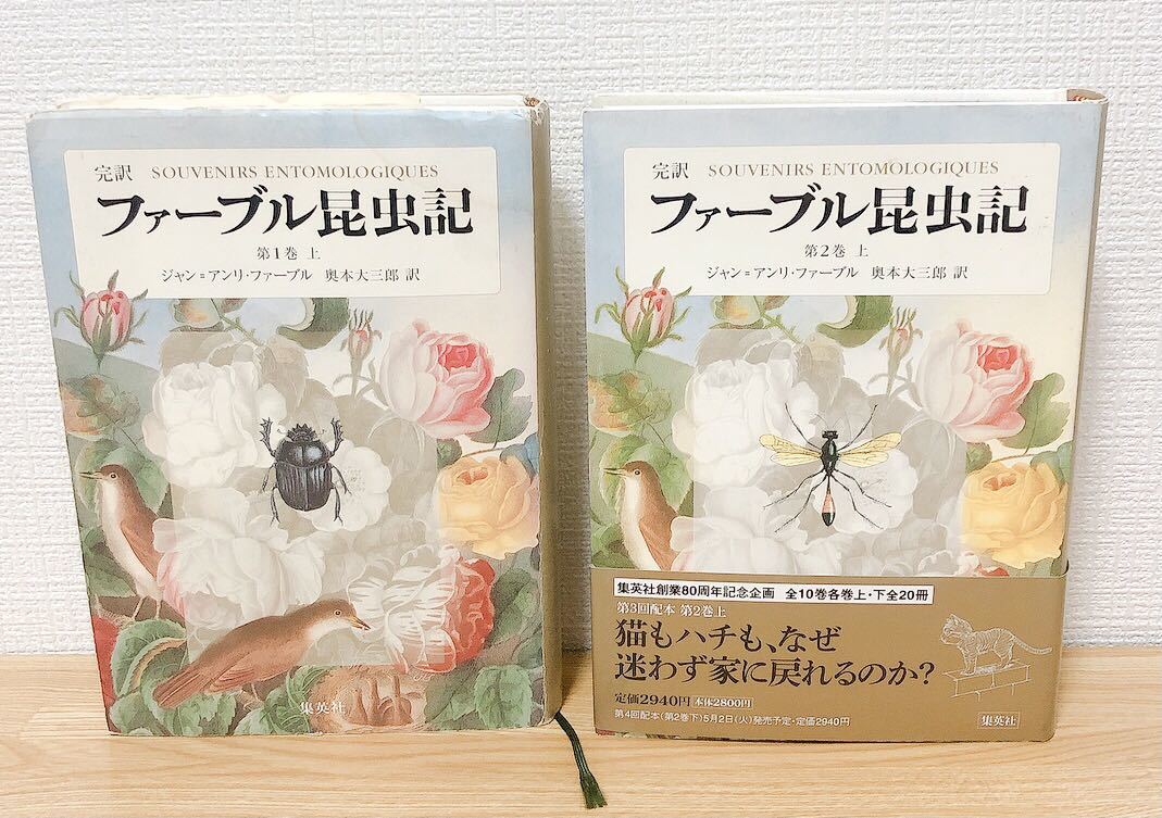 ★月報付き★ 完訳 ファーブル昆虫記 計15冊セット【第1巻〜第7巻上下・第8巻上までのセット】 ジャン＝アンリ・ファーブル著 奥本大三郎訳の画像8