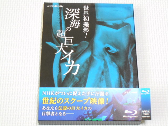 BD* world the first photographing! deep sea. super huge squid NHK special with belt Blue-ray 