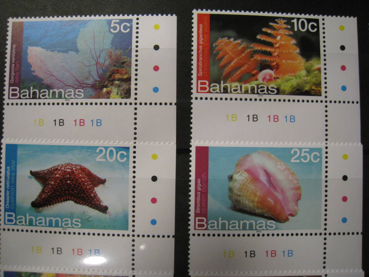 バハマ 海洋生物(16種) MNH_画像2