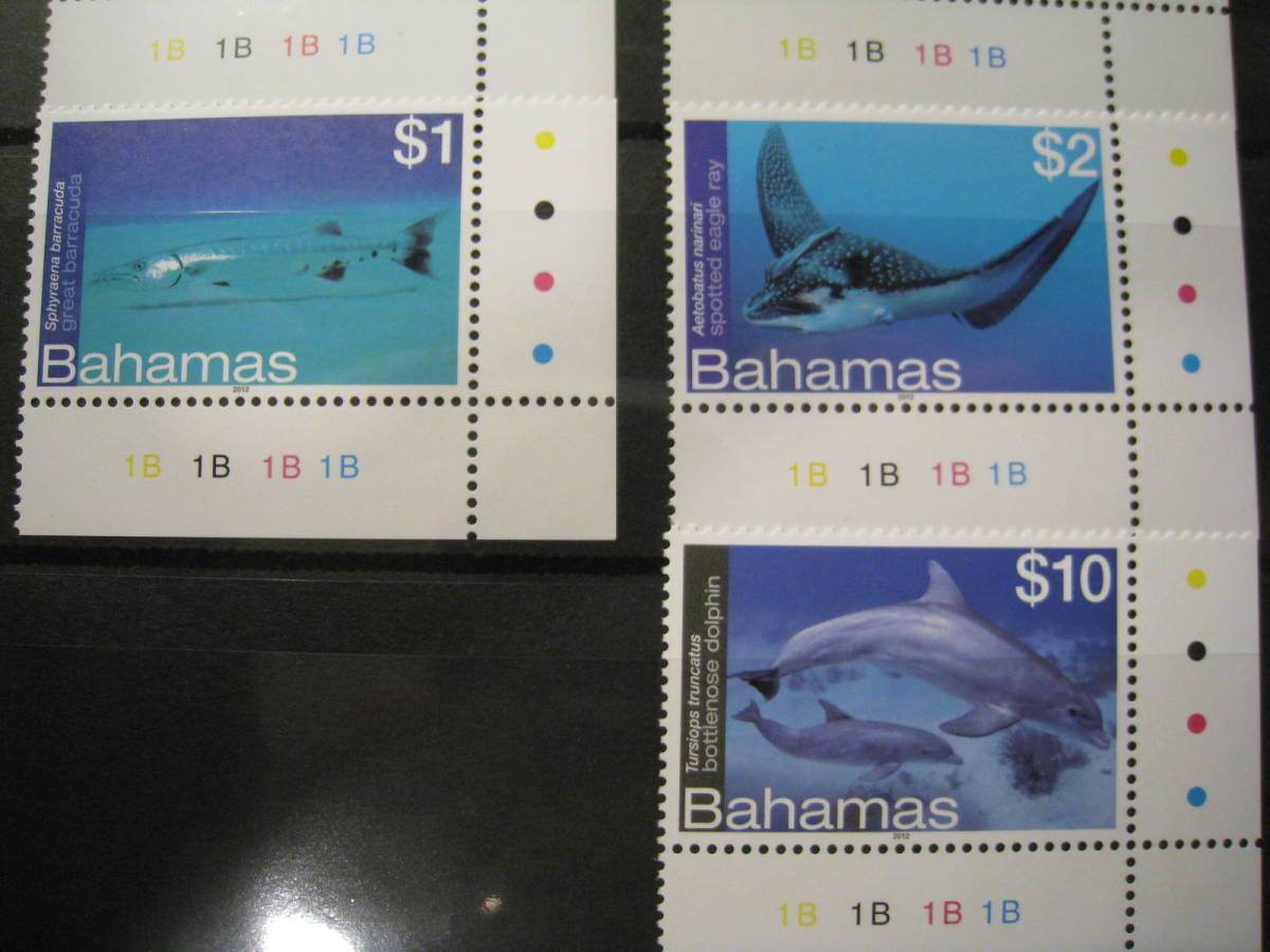 バハマ 海洋生物(16種) MNH_画像6