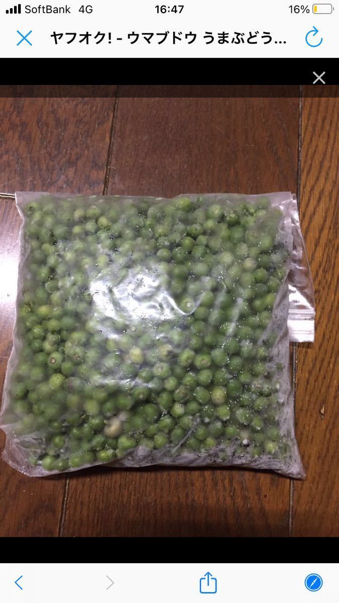 うまぶとう ウマブドウ 馬ぶどう 実2400g (400g×6) 焼酎漬用 うまぶとう ウマブドウ 馬ぶどう 実2400g (400g×6) 焼酎漬用