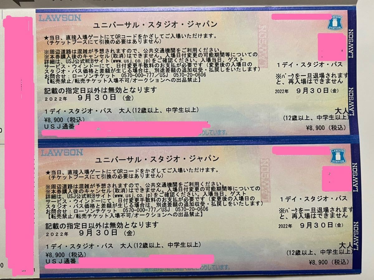 ユニバーサルスタジオジャパン1デイスタジオパス２枚組-