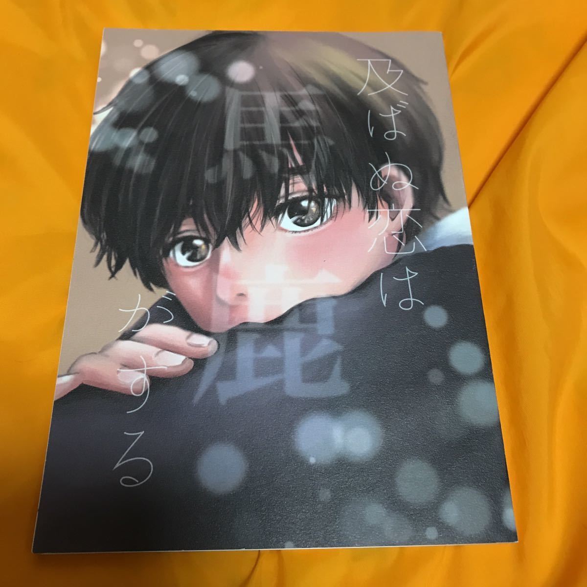 BANANA FISH 同人誌 A英 まとめ売り - 同人誌