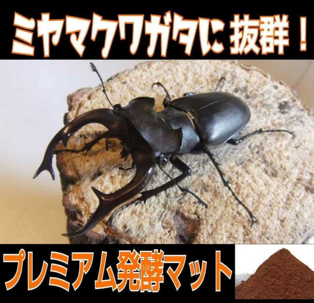  stag beetle larva. tenth .. direct after! pudding cup entering premium 3 next departure . stag beetle mat [40 set ] the smallest particle . good meal ..!tore Hello s combination 