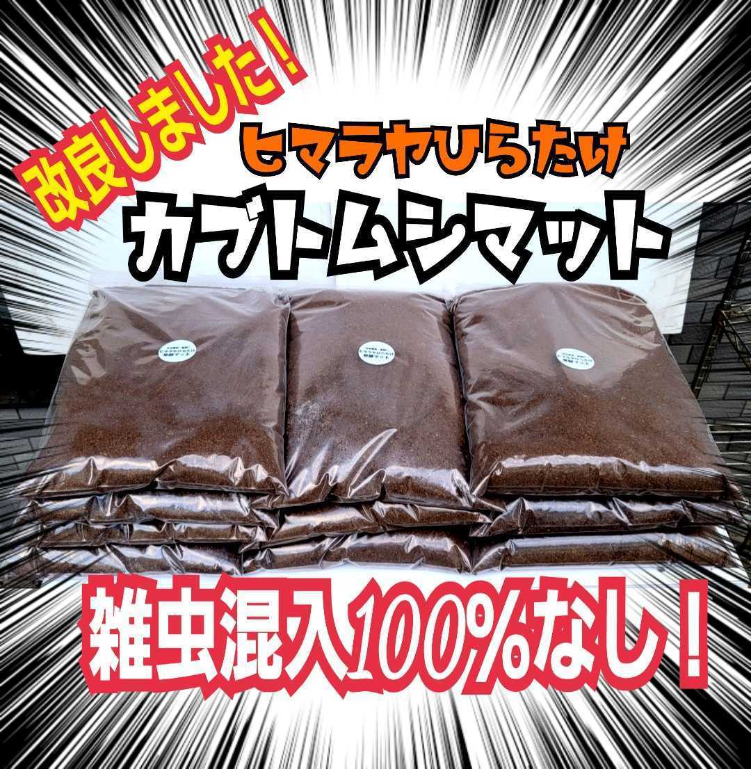 [10 sack set ] domestic production rhinoceros beetle . eminent! nutrition addition agent entering improvement version! departure . mat larva . round futoshi .! production egg also! interior manufacture!. insect *kobae. . go in none 