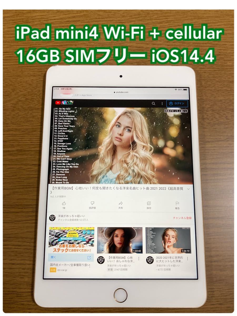 iPad mini4 SIMフリー 16GB iOS14.4  （U44） 本体 Cellular