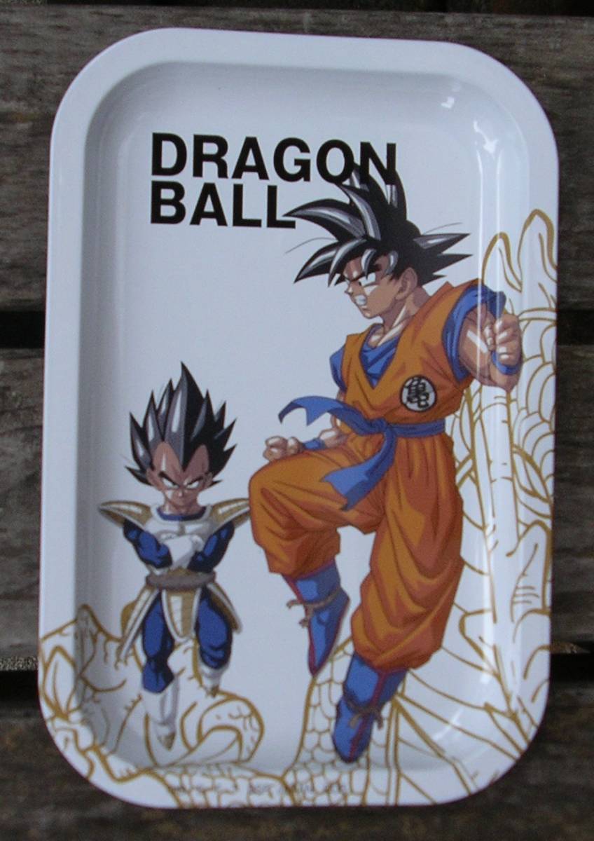 DRAGON BALL ALUMINUM PLATE(ドラゴンボール　アルミプレート)■健全・性的要素皆無■40グラム◆約165ミリ×約110ミリ【220923-12】_画像1