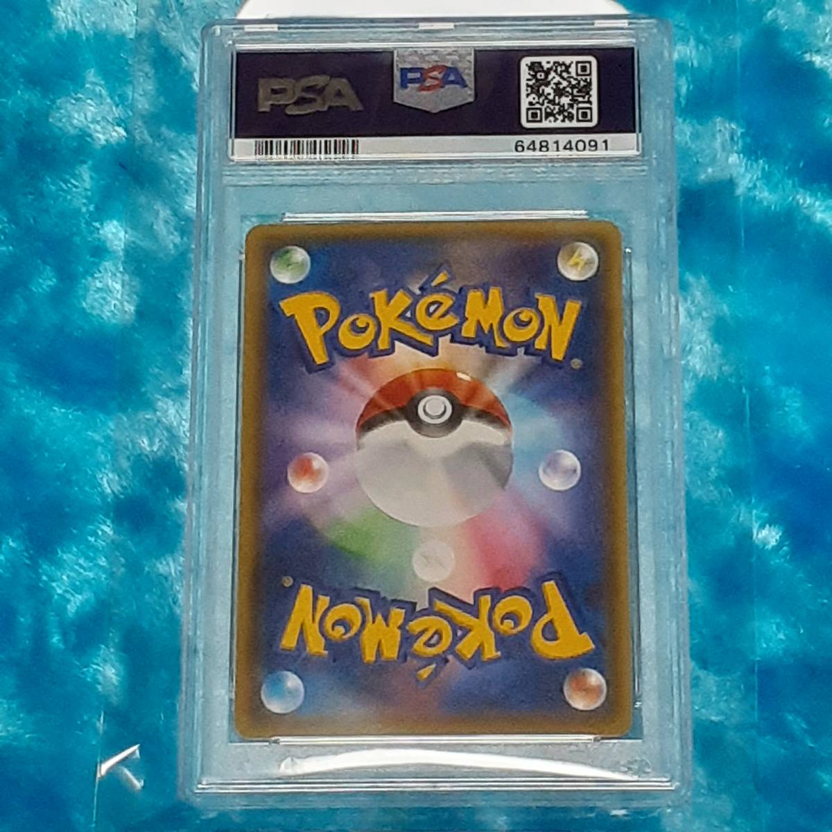 ☆ポケモンカード 2014 No,072 バクーダ EX SR PSA10 GEM MINT 鑑定品