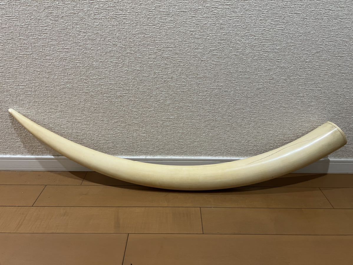 Yahoo!オークション - 象牙風 一本物 一本牙 飾り物 工芸品 美術品