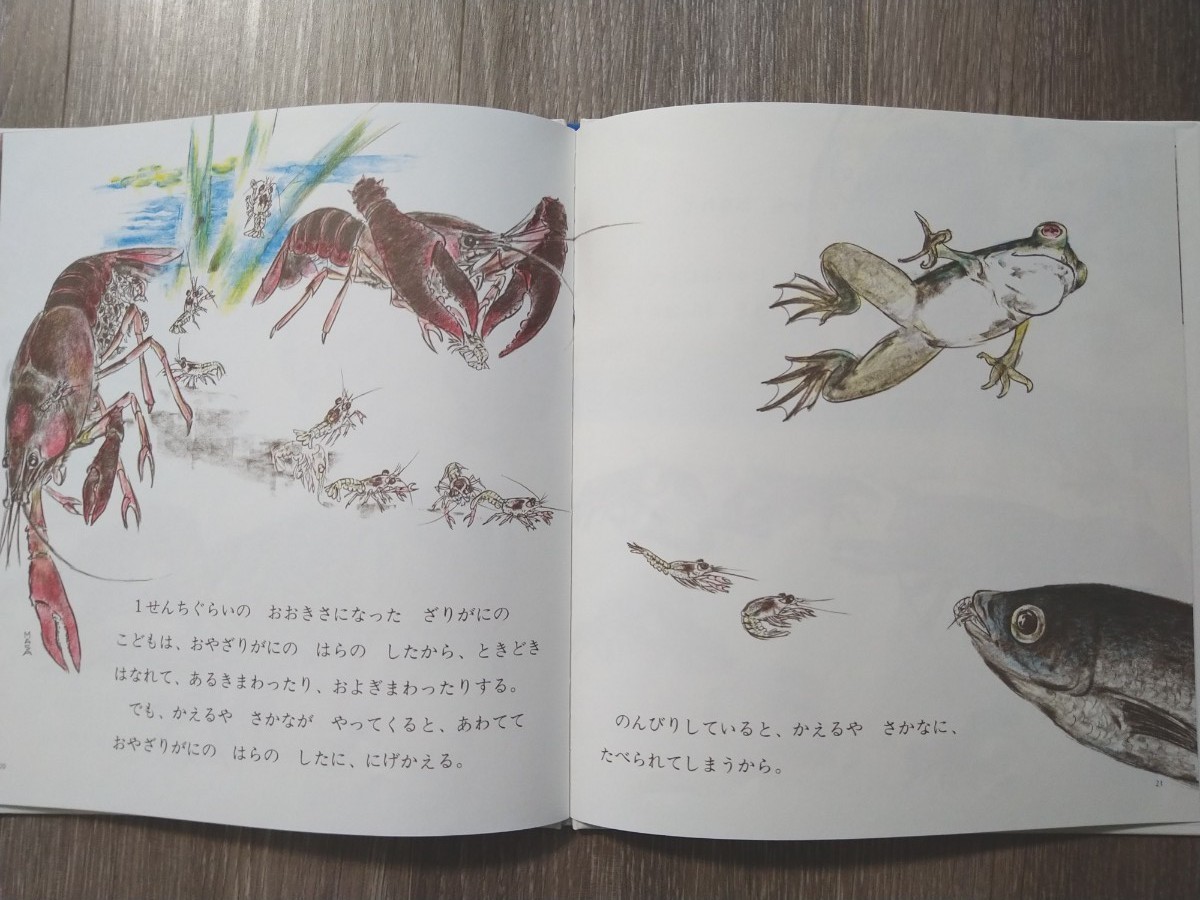 かがくのとも なんでもサイエンス がっけんかがくえほん ざりがにの絵本 福音館 かがくのとも なんでもサイエンス がっけんかがくえほん