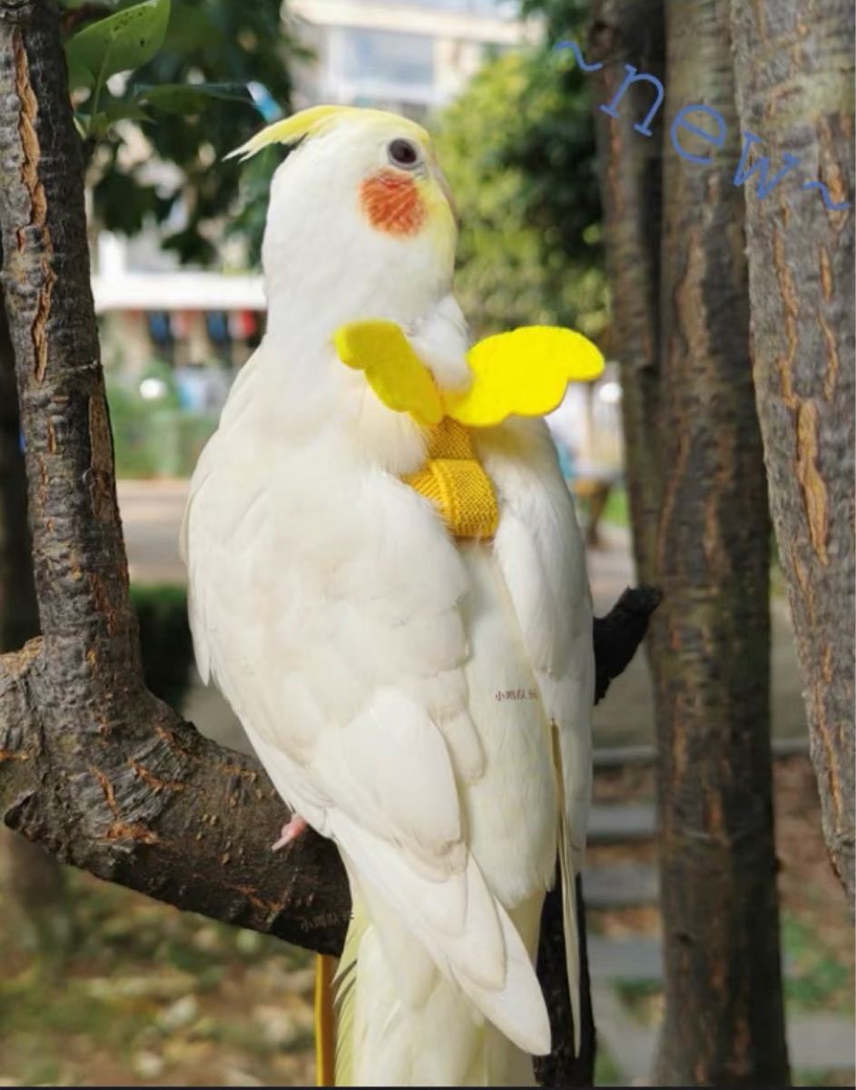 オキナインコ用放鳥ハーネス　L  紫