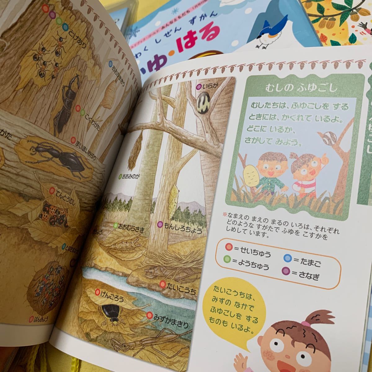 しぜんだいすきずかん|Yahoo!フリマ(旧PayPayフリマ) しぜんだいすきずかん|Yahoo!フリマ(旧PayPayフリマ)