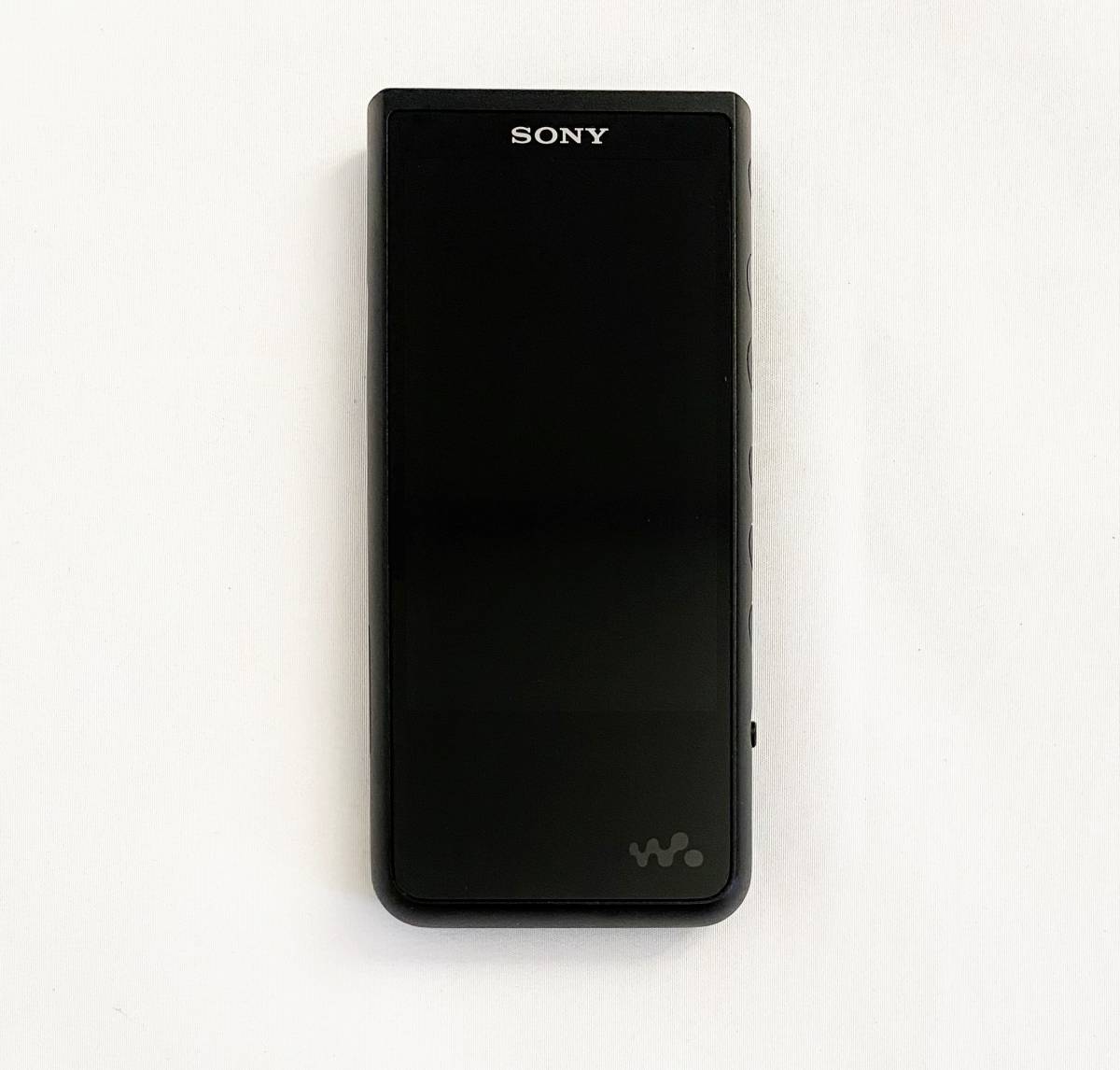 SONY NW-ZX507 ウォークマン - coastalcareeracademy.com