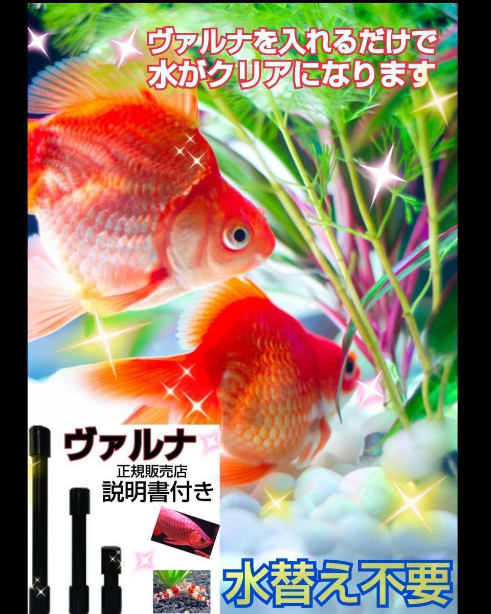 水槽の水が綺麗になります【ヴァルナ8センチ】病原菌や感染症を抑制し透明度が抜群になります☆水槽に筒を入れるだけ！３年水替え不要です_水槽に入れるだけでピカピカに！