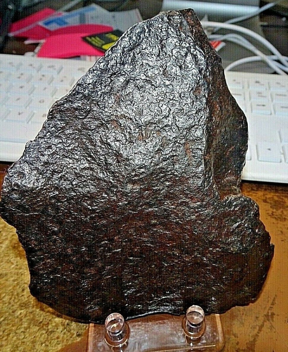 から厳選した 隕石 限定 レア 入手困難 CAMPO DEL CIELO カンポ デル