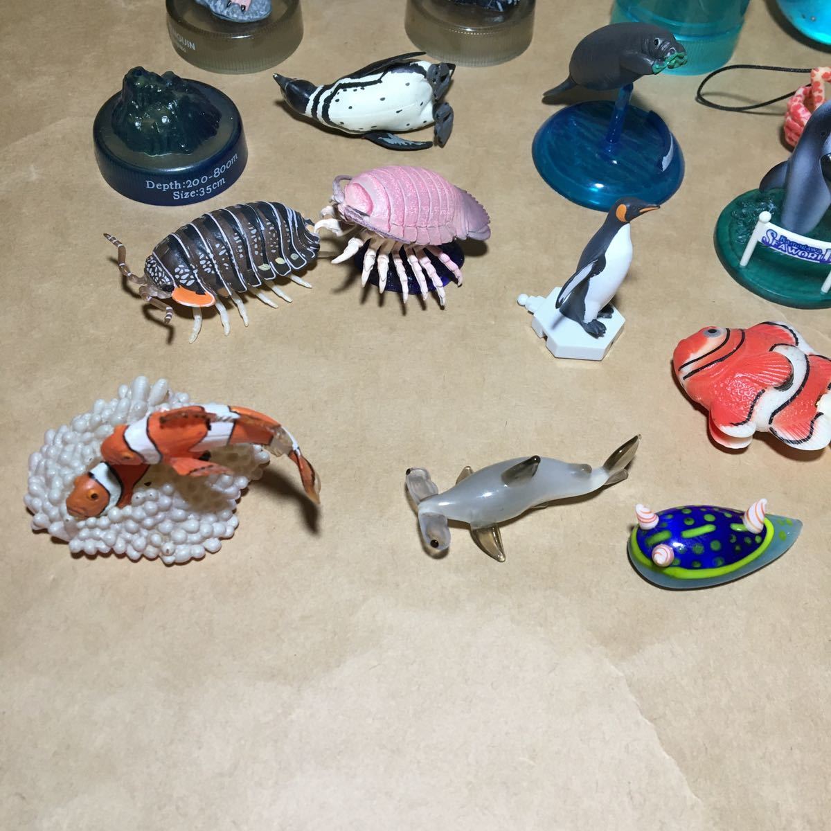 25点セット 海洋堂 沖縄 水族館 生き物 ネイチャーテクニカラー 25点セット 海洋堂 沖縄 水族館 生き物 ネイチャーテクニカラー