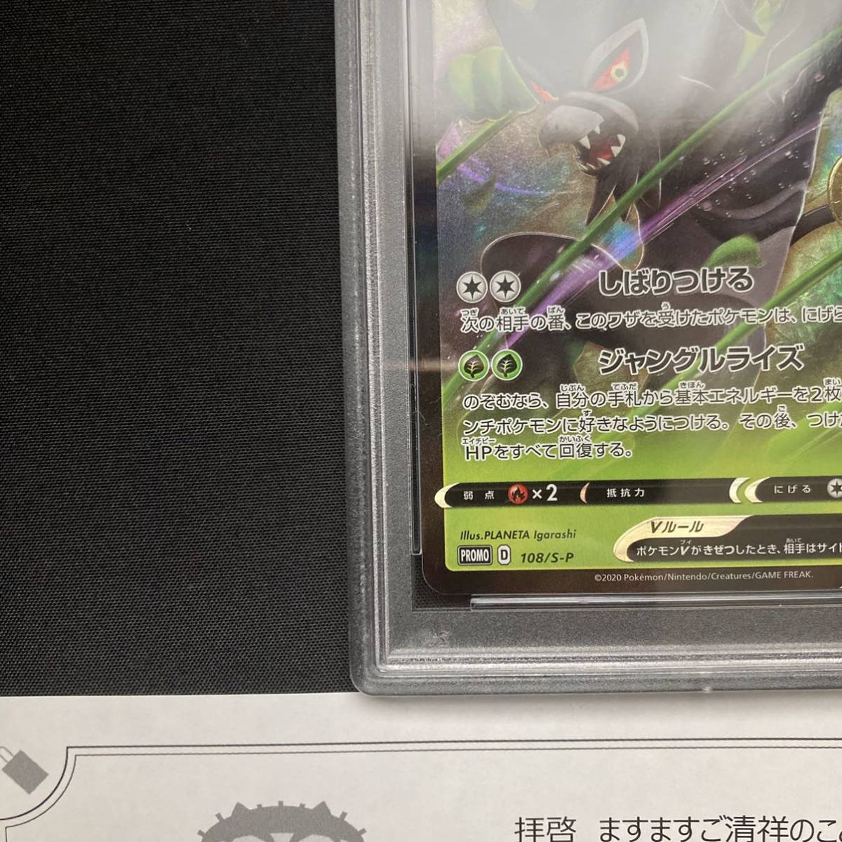 09-19 当選通知書付 ポケモンカード ザルードV ガリガリ君 PSA10鑑定