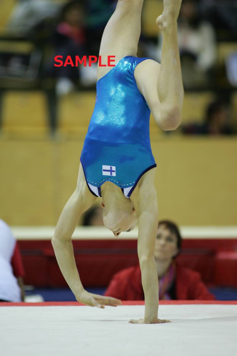 2006 女子体操 世界大会 高画質写真集 約8500枚 新体操 2006 女子体操 世界大会 高画質写真集 約8500枚 新体操