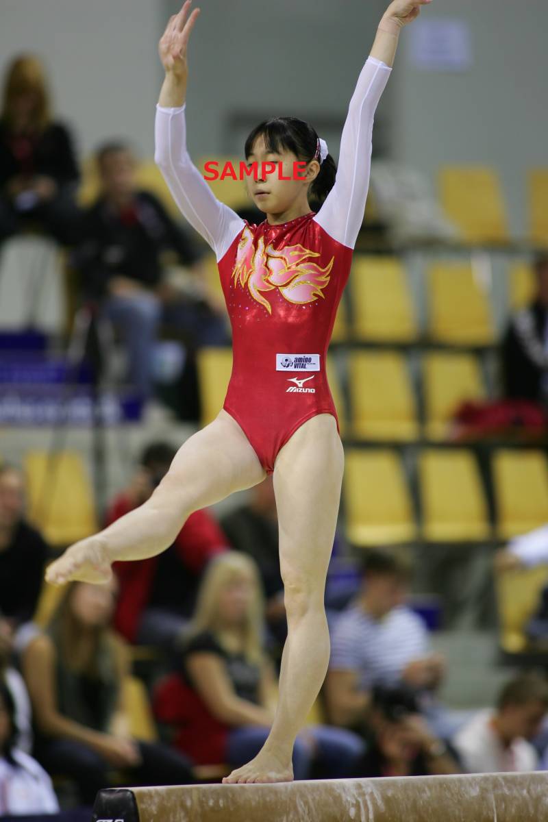 2006 女子体操 世界大会 高画質写真集 約8500枚 新体操 2006 女子体操 世界大会 高画質写真集 約8500枚 新体操