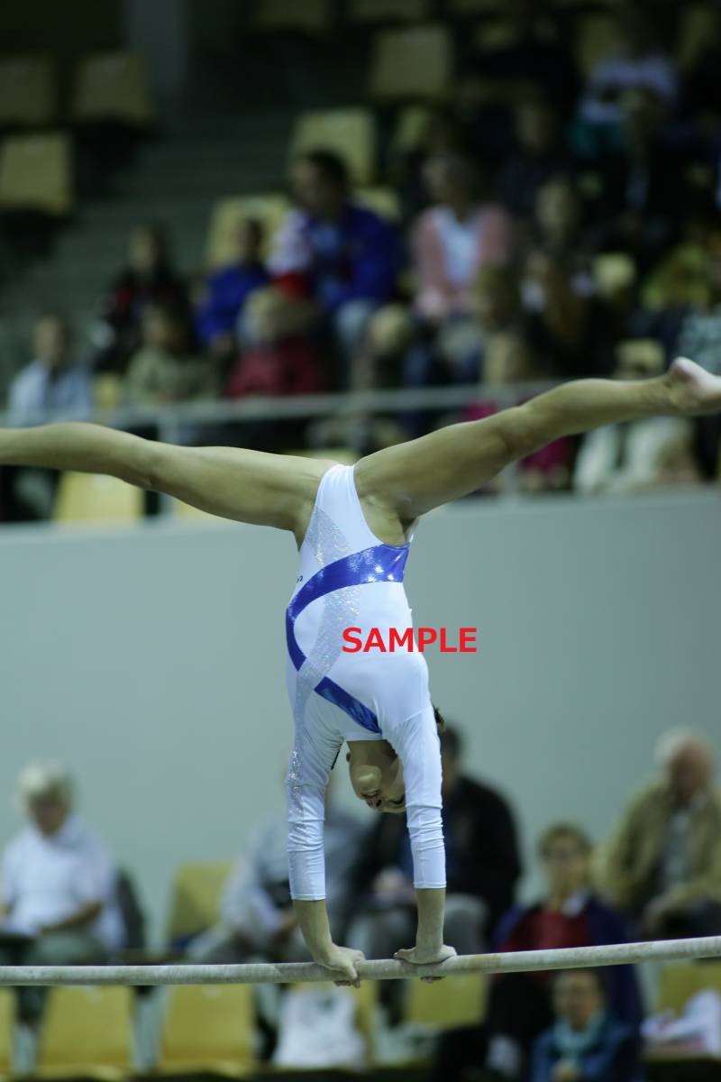 2006 女子体操 世界大会 高画質写真集 約8500枚 新体操 2006 女子体操 世界大会 高画質写真集 約8500枚 新体操