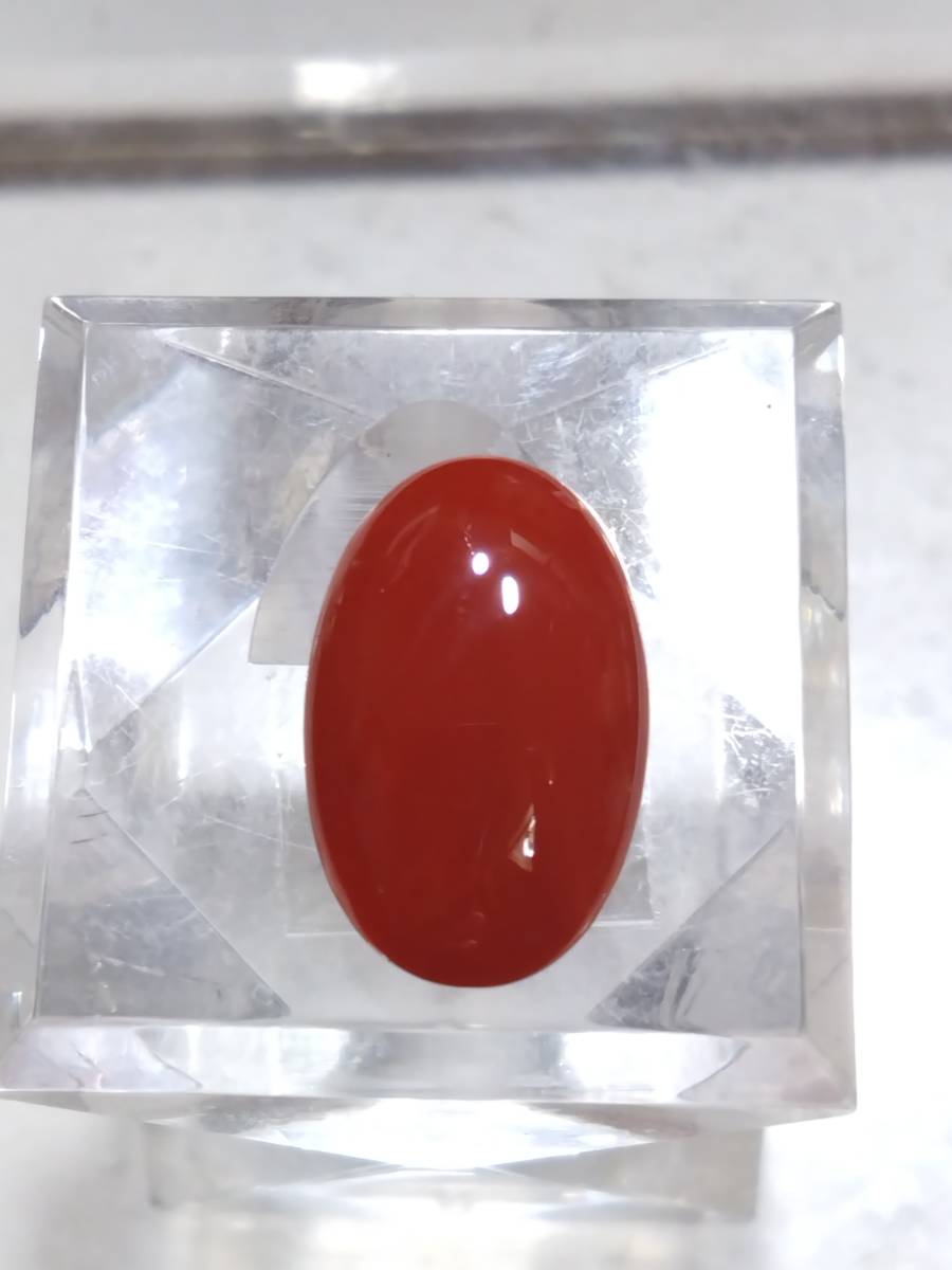 血赤珊瑚 大粒14CT高知県産カボッションルース 04903980807 www