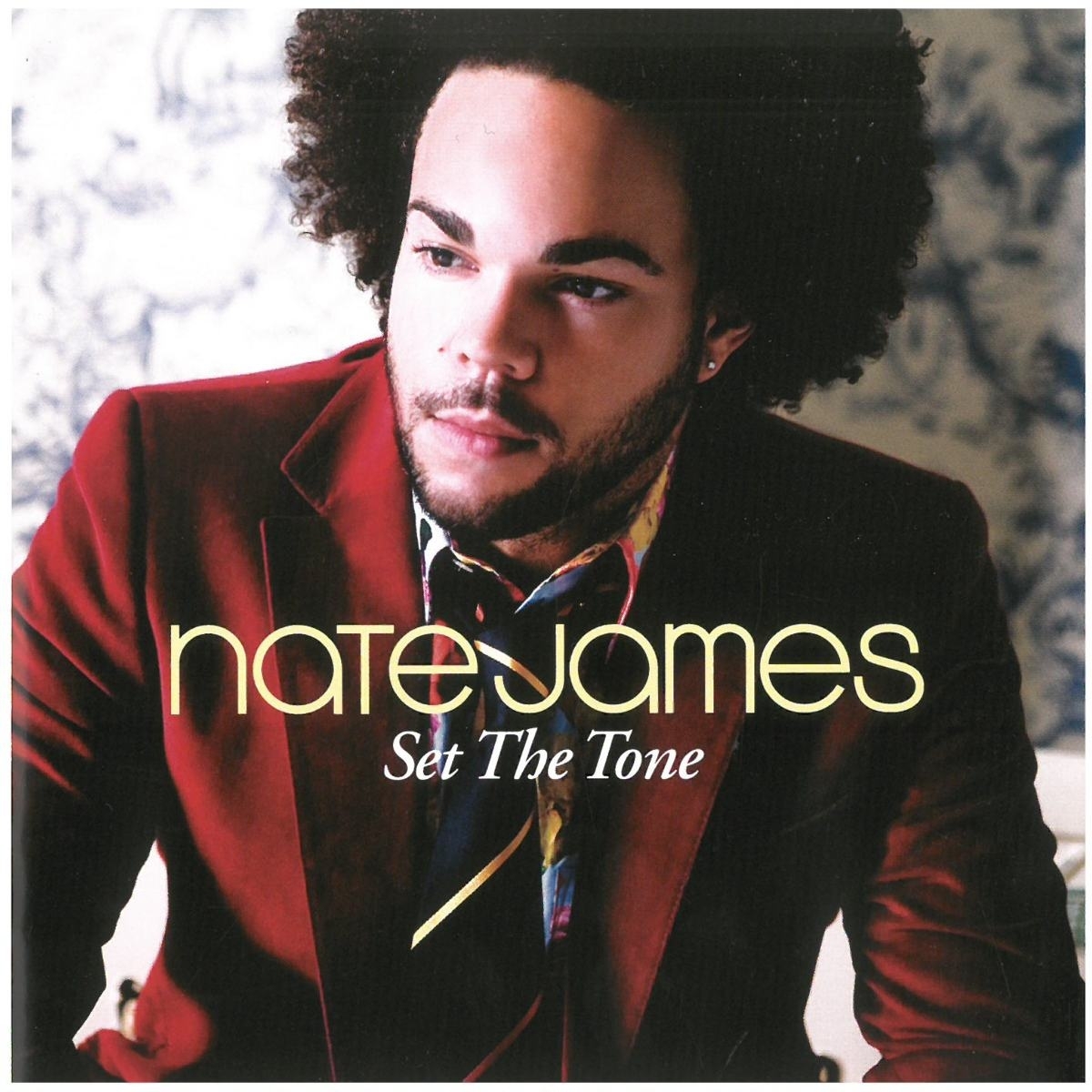 ネイト・ジェームス(NATE JAMES) / セット・ザ・トーン ディスクに傷有り CD_画像1