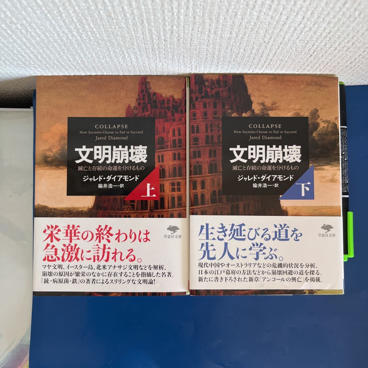 文明崩壊 上・下 滅亡と存続の命運を分けるもの 2冊セット 楡井 浩一 / ジャレド・ダイアモンド (草思社文庫) 文庫 2012/12/14_画像1